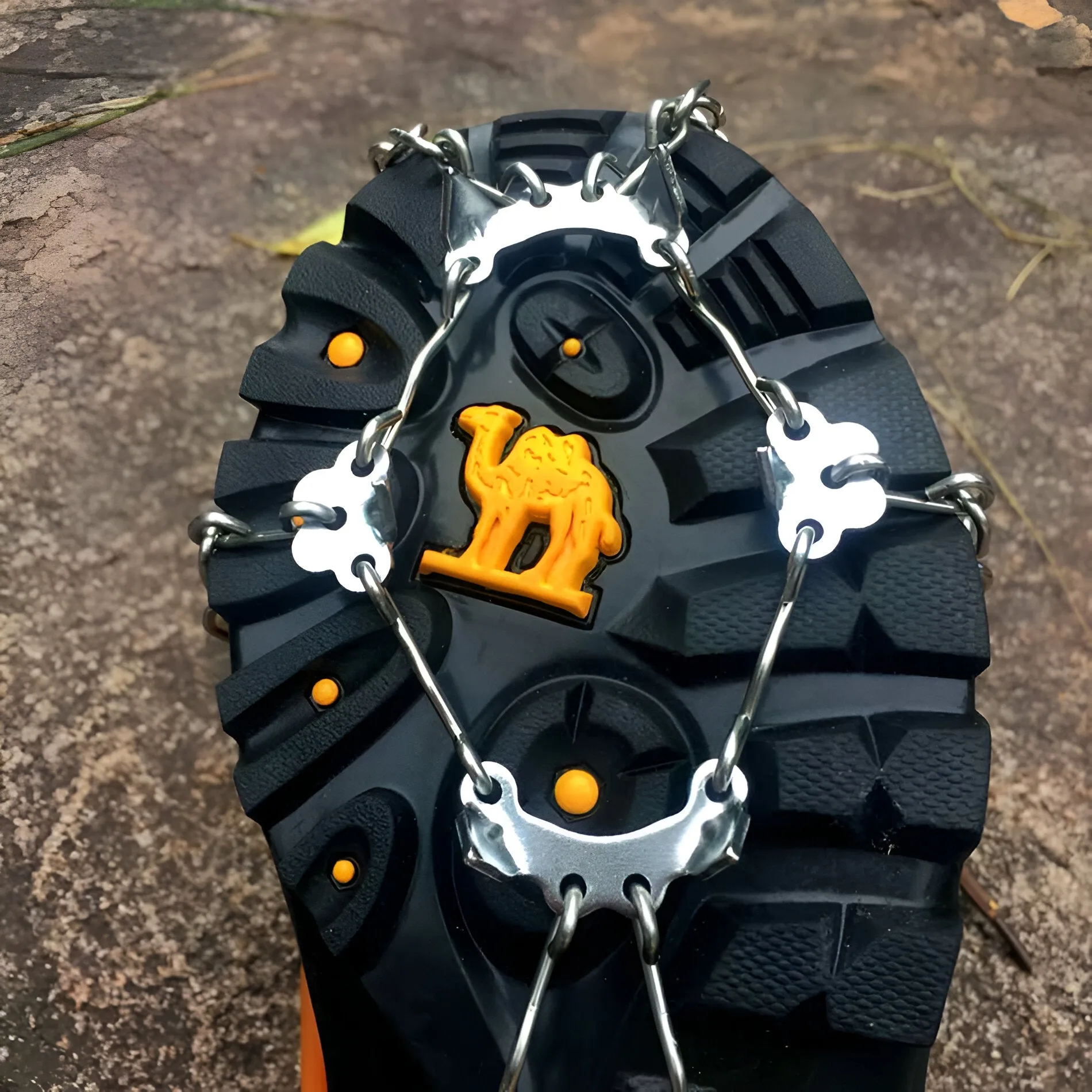 10 Teeth Snow Crampons