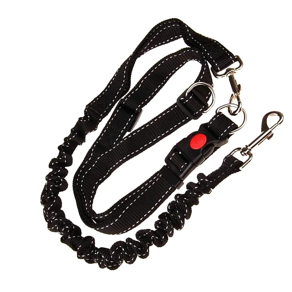 Cani-Hiking Bungee Leash