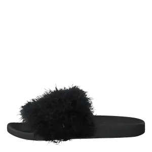Feathers Black