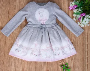 Girls Long Sleeve Dress Gray Color