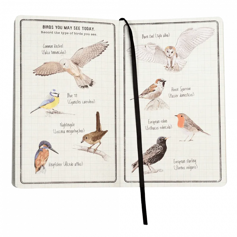 Nature Trail Journal