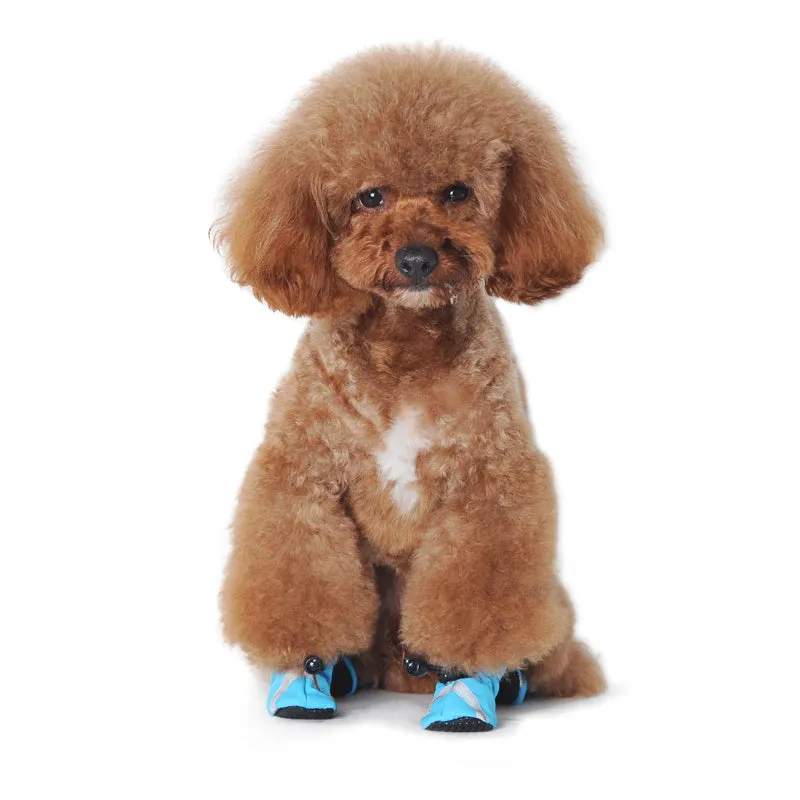 Slip-On Paws