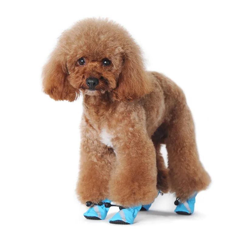 Slip-On Paws