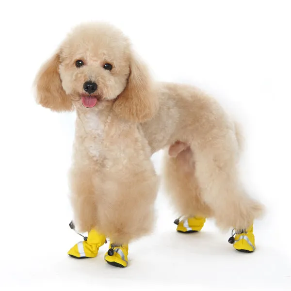 Slip-On Paws