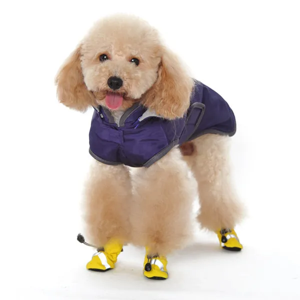 Slip-On Paws