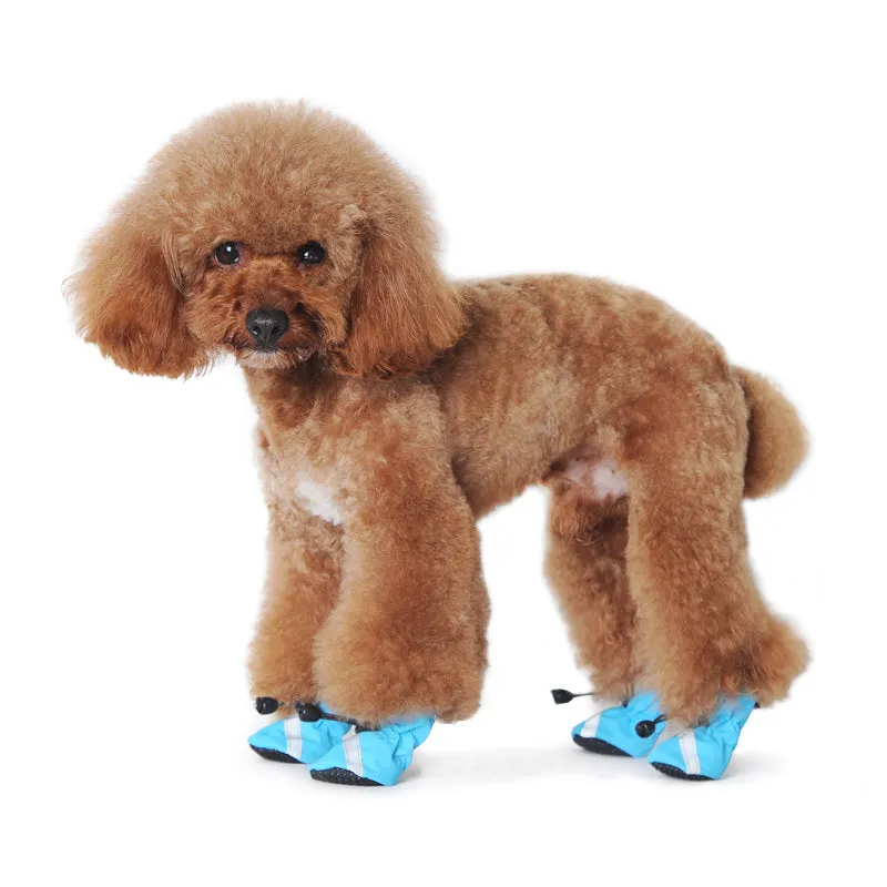 Slip-On Paws