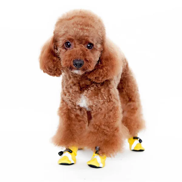 Slip-On Paws
