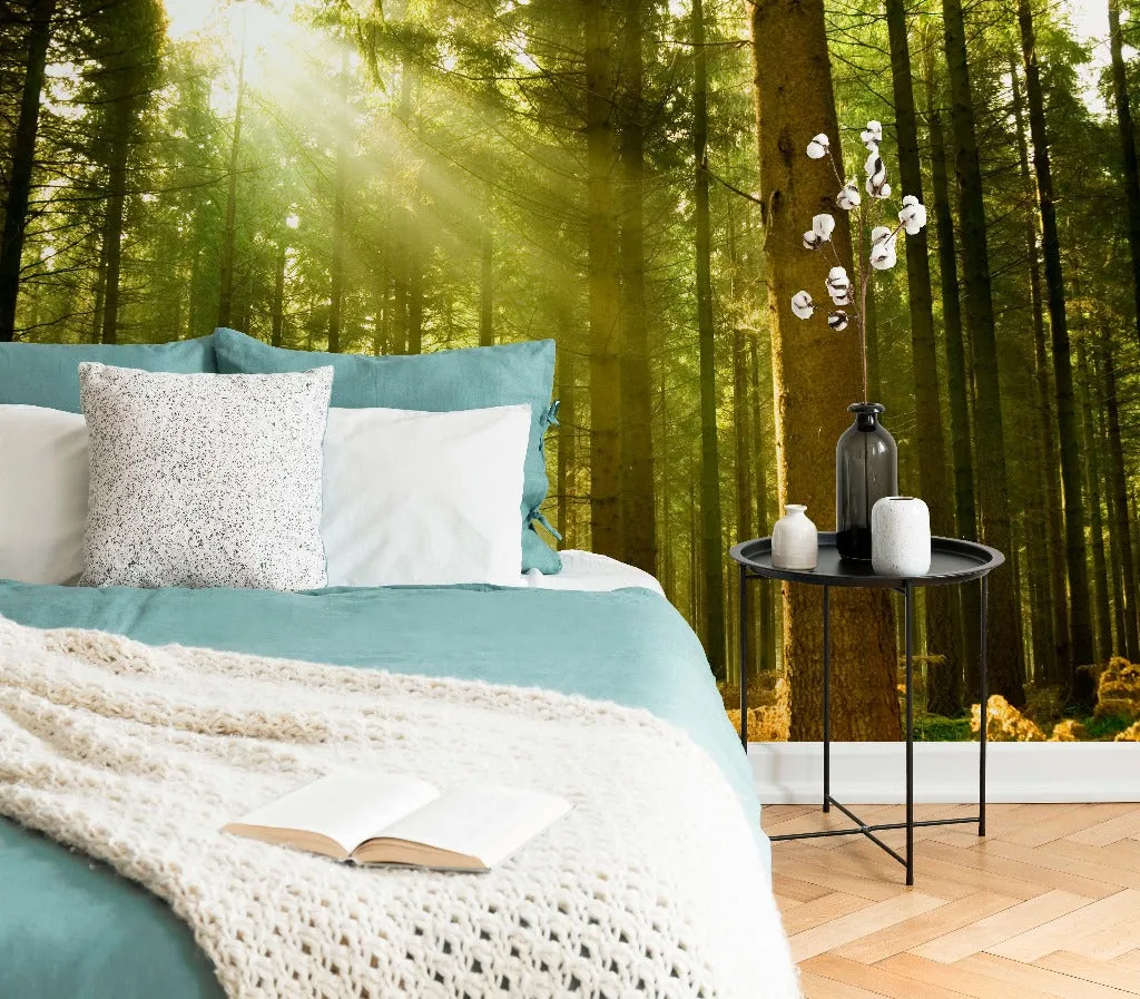 Sunny Green Forest Wallpaper Mural