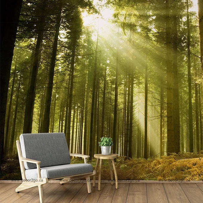Sunny Green Forest Wallpaper Mural