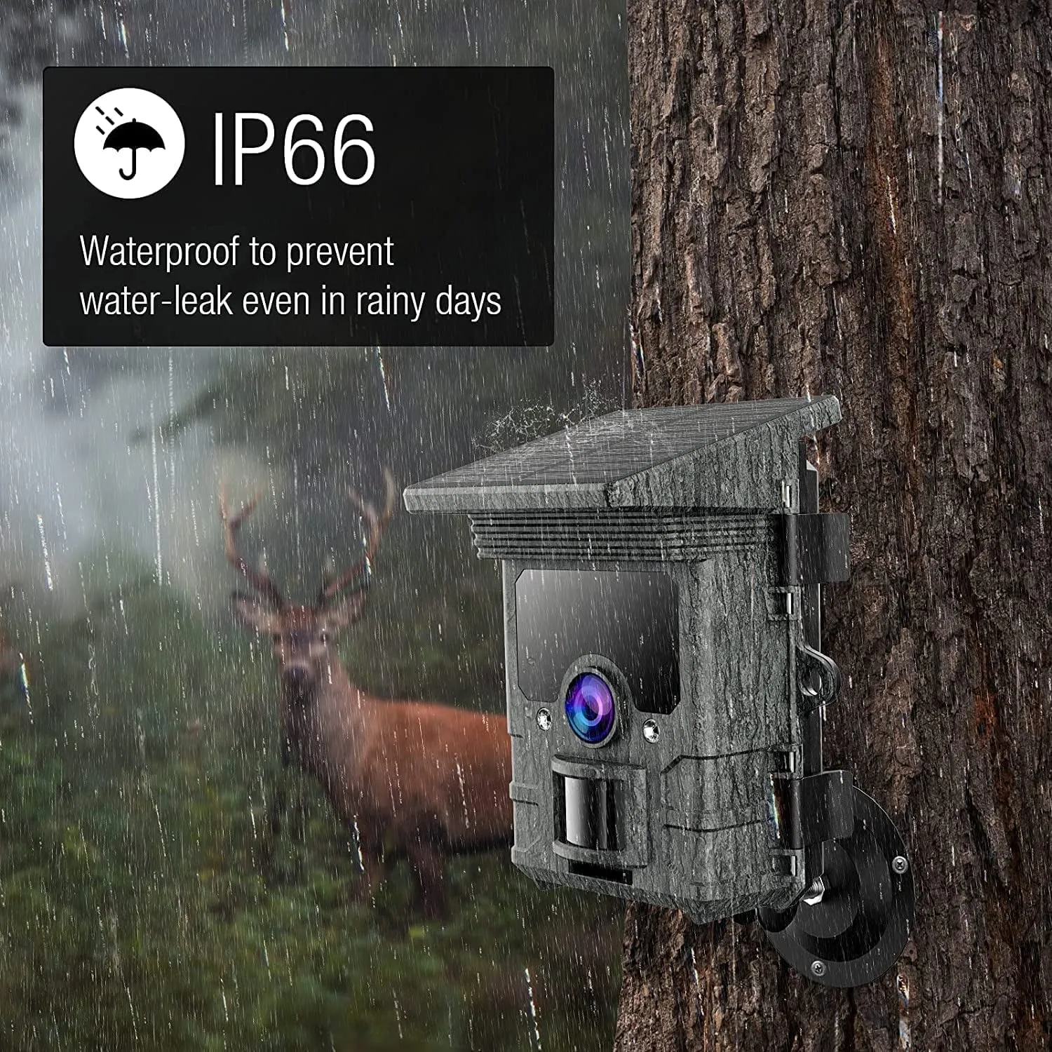 TOGUARD Solar WiFi Trail Camera Native 4K 30fps Bluetooth 46MP Game Camera with Infrared Night Vision 120°Wide Angel Motion Activated Waterproof IP66 Deer Hunting Trail Cam for Wildlife Monitoring