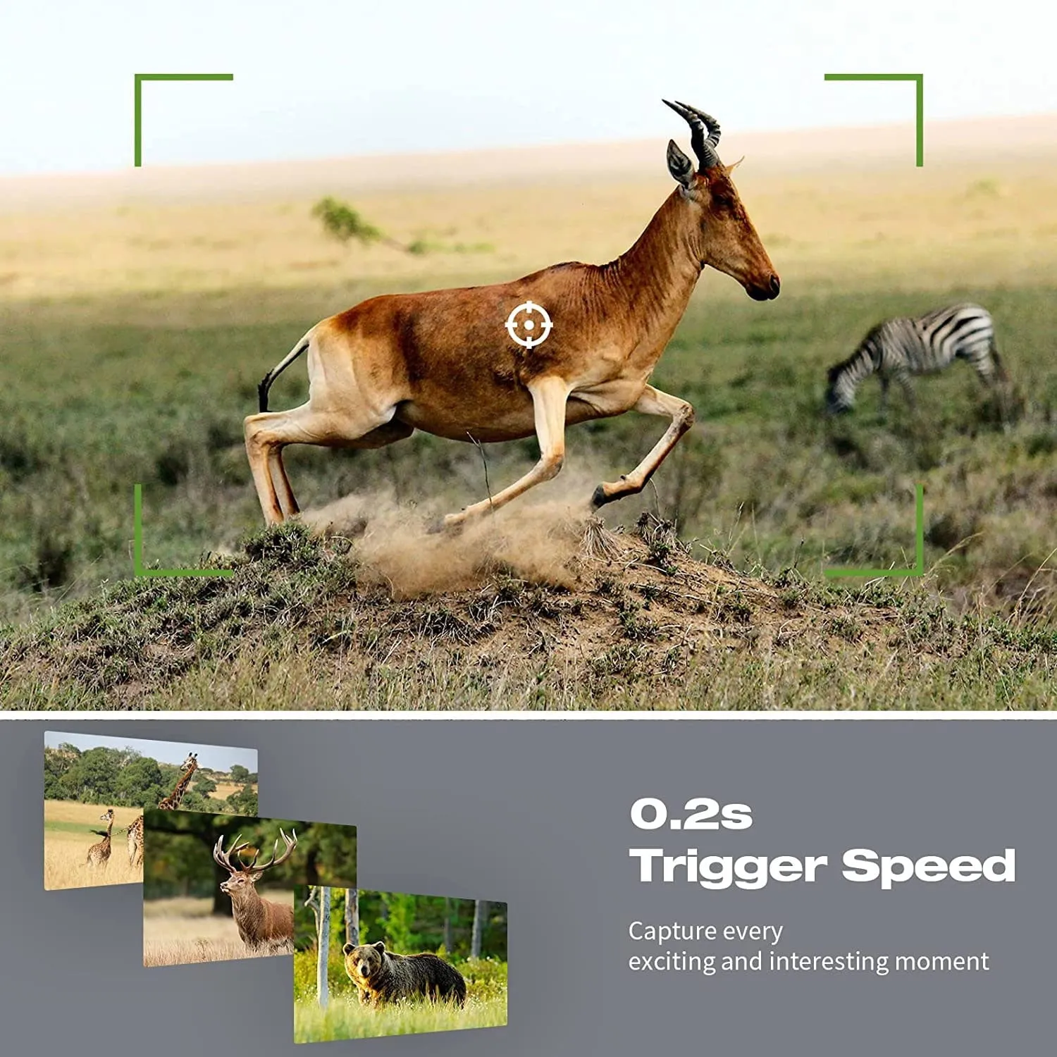 TOGUARD Solar WiFi Trail Camera Native 4K 30fps Bluetooth 46MP Game Camera with Infrared Night Vision 120°Wide Angel Motion Activated Waterproof IP66 Deer Hunting Trail Cam for Wildlife Monitoring